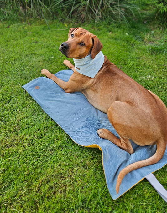 Hundedecke ToGo zweilagig Breitcord & Softshell