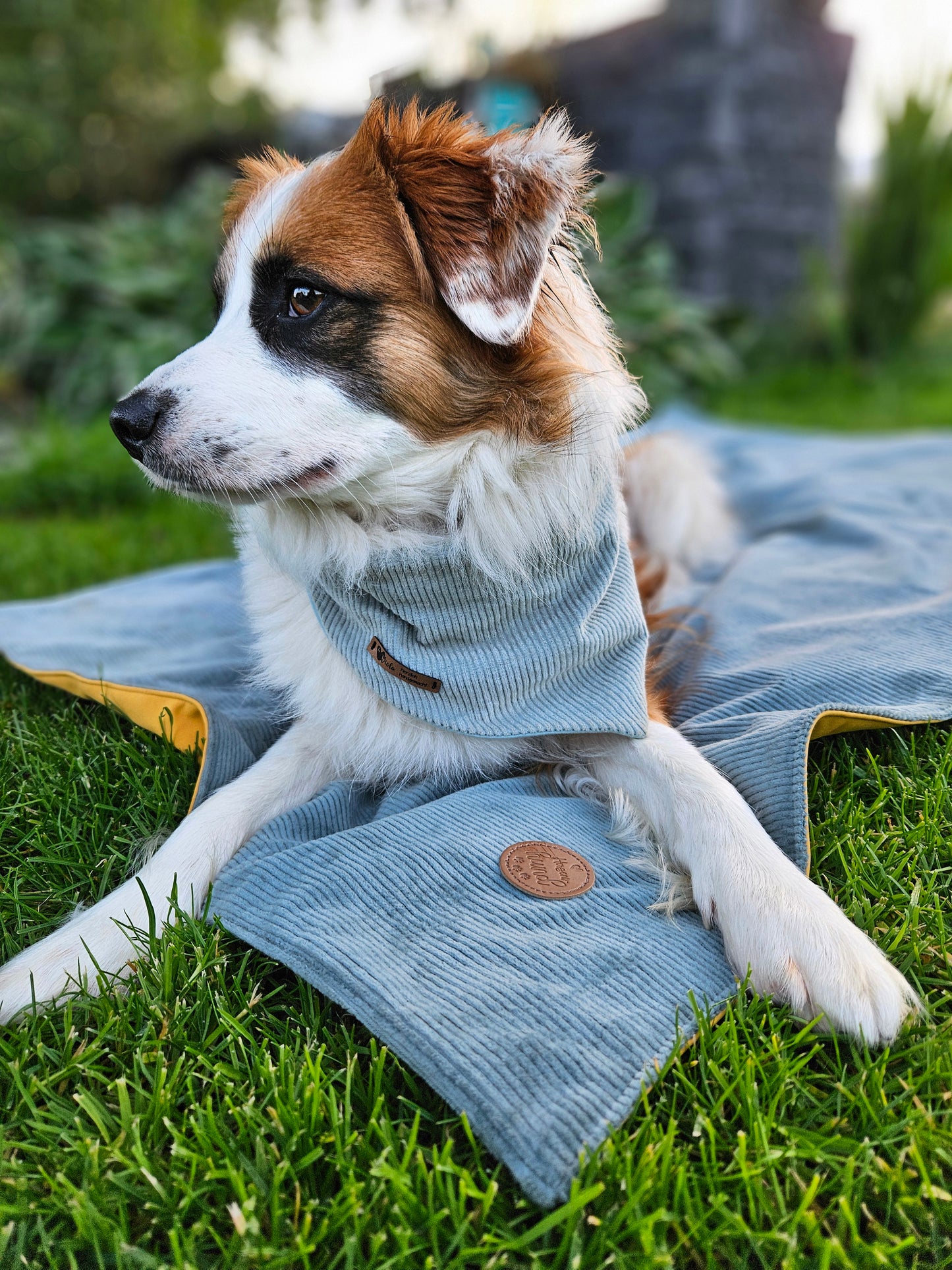 Hundedecke ToGo zweilagig Breitcord & Softshell
