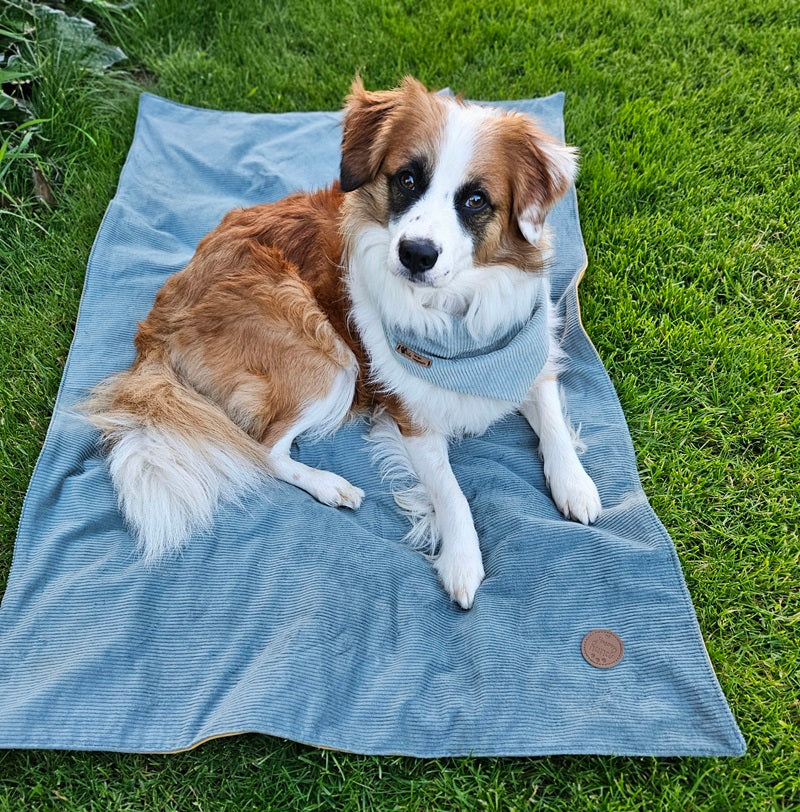 Hundedecke ToGo zweilagig Breitcord & Softshell