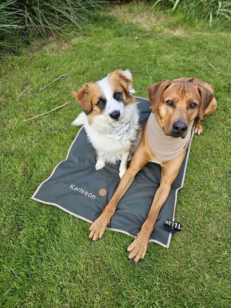 Hundedecke ToGo Softhell einlagig