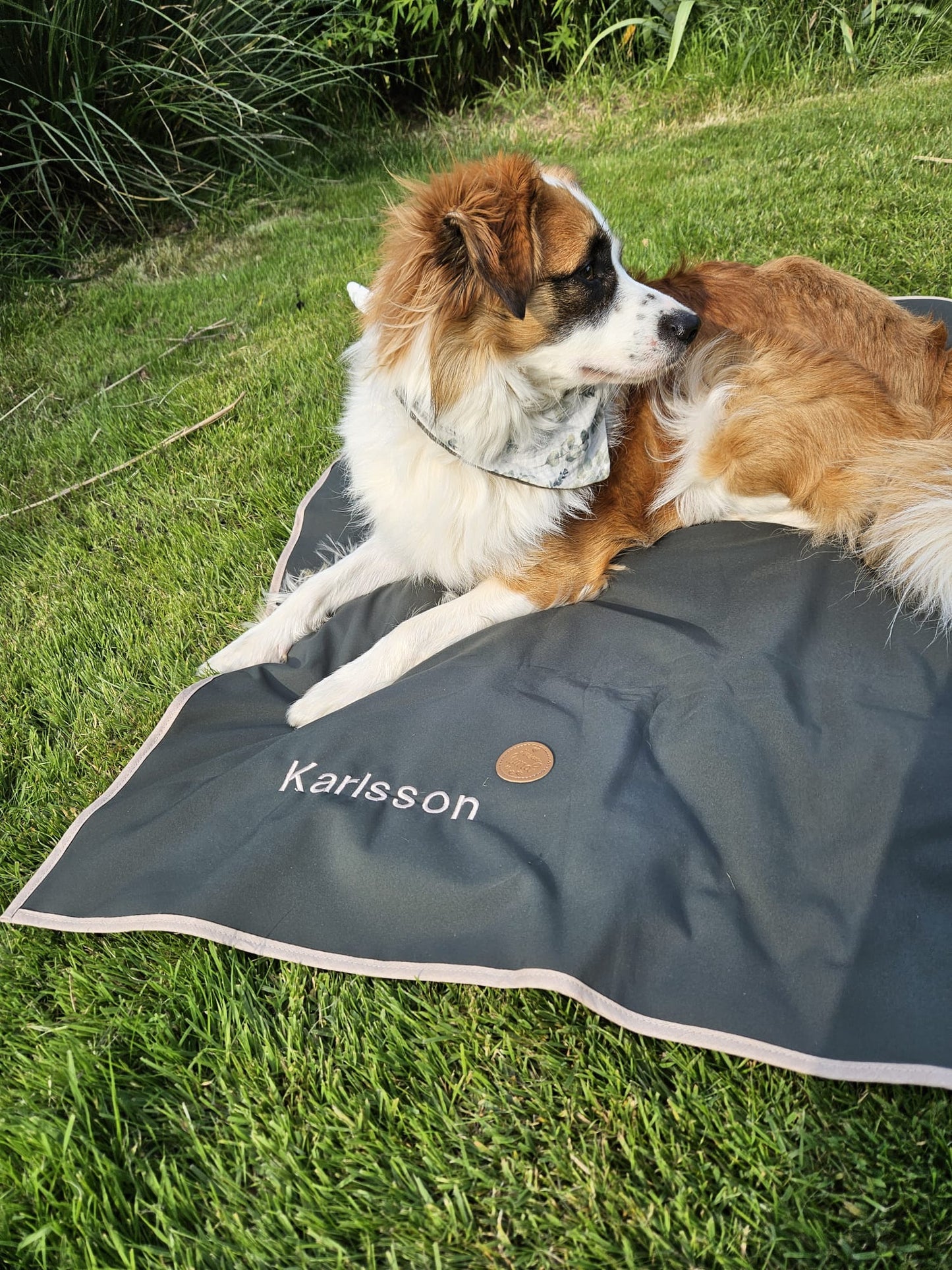 Hundedecke ToGo Softhell einlagig