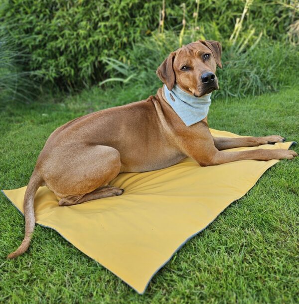 Hundedecke ToGo doppellagig Cord – Bild 3