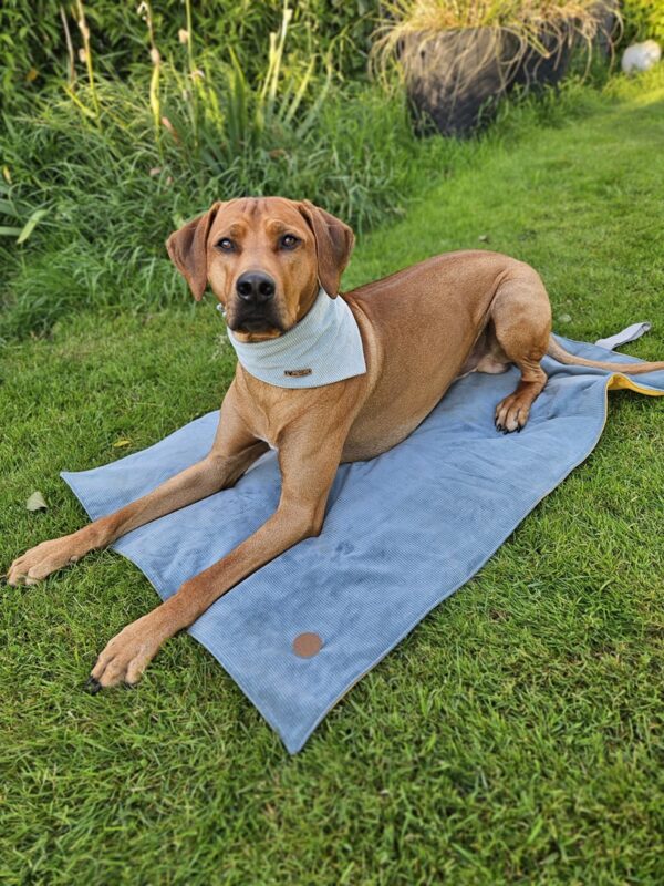 Hundedecke ToGo doppellagig Cord – Bild 5