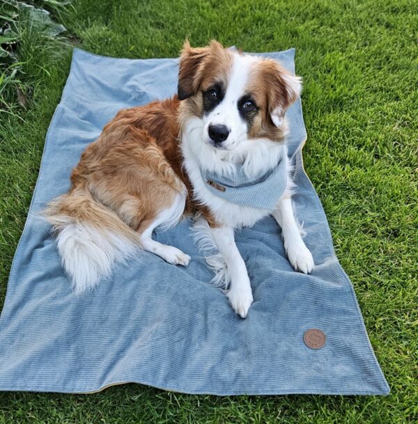 Hundedecke ToGo doppellagig Cord – Bild 2